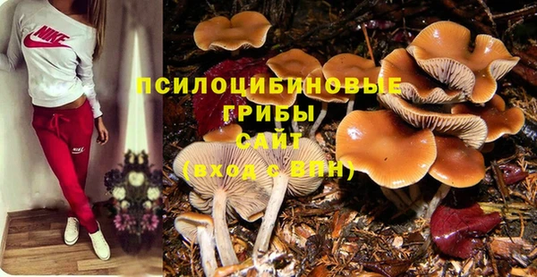 прущая мука Алексеевка