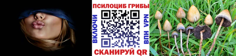 Псилоцибиновые грибы прущие грибы  Дно 